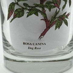 Vintage Botanic Garden Glass Tumbler Set/3-Cyclamen, Gazania & Rosa