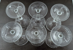 Set of 6 Vintage Champagne Coupe Etched Floral Toasting Glasses Petite