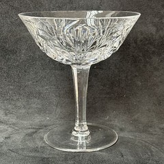 Nachtmann NIERSTEIN Champagne Glass 4 5/8 Inches
