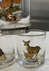Vintage West Virginia Specialty Glass American Wildlife rocks glasses lot of 7
