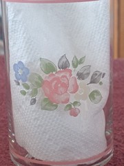 Pfaltzgraff Tea Rose Floral Libbey Tumbler Drinking Glasses Pink Bands Set of 5
