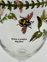 Portmeirion Botanic Garden Footed Ice Tea/Water Glass Rosa Canina Dog Rose