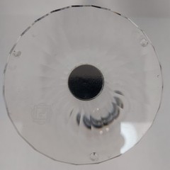 Saikirra Tulip Champagne Glasses