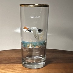 Waterfowl Highball Glass Set of 4 w/ Gold Rim – Decorative Multicolor Bird Theme