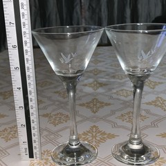 Clear Glass Martini Glasses Etched Bird Design Two-Piece Set