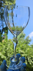 5 Vintage Mikasa Spring Petals Crystal Wine Glasses, 8-3/8″, FREE SHIPPING