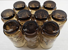 10) Yvette Perrin Dogwood Tumblers Set Vintage Smoke Brown Bird Floral Retro Lot