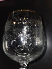 Bohemia Crystal Crystalex Queen’s Lace Wine Glass Gold Rim Lace Etched