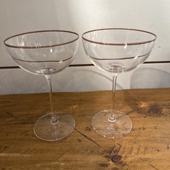 Rona Slovakia Champagne Coupes – Set of 2