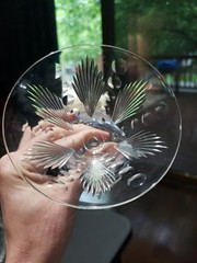 (5) Low sherbet Glasses, Signed Libbey c.1933 Nash American art deco «Reverie»