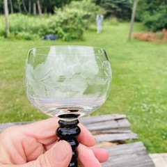 Vintage Roemer Green Stacked Bubble Stem Etched Grape Vine Wine Glass Set of 5