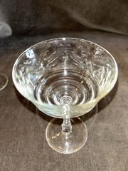 17 Libbey Rock Sharpe Glass Arctic Rose Etch Champagne Liquor Cocktail Glasses