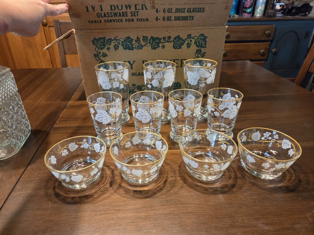 Vintage Ivy Bower Glassware Set Frosted White Rose Gold Rim 11 Pcs W/ Orig Box