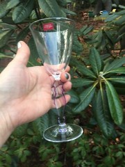 4 VINTAGE French Cristal d’arques wine glasses w/purple stem edges htf pattern~