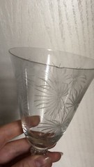 Set of 2 Fostoria Lido crystal water goblet scepter stem palm leaves etched