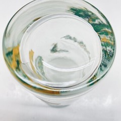 Vtg Indiana Glass Tumbler 12 Days of Christmas Day 3 -Three French Hens