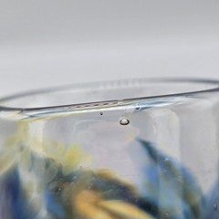 David Salazar Studio Art Glass Tumbler Iridescent Blue Pulled Feather 4″ Signed