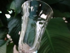 Pioneer Glass Japan Clear Gray Cut Willow Moon 2.5 oz Sherry Glass VGUC