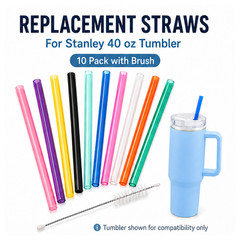 Replacement Straws for Stanley 40 oz Tumbler 10 Pack with Brush