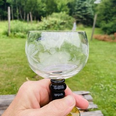 Vintage Roemer Green Stacked Bubble Stem Etched Grape Vine Wine Glass Set of 5