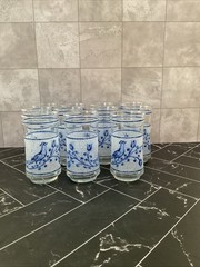 Libbey 10 oz glasses Frosted Blue bird and flower 5.25” X 2.50” Set of 11