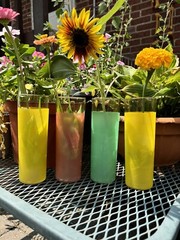 Vintage Fire King Cocktail/Highball Glasses Green/Yellow/Orange/Red Transferware