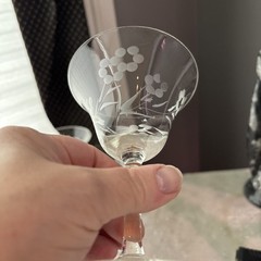 Vintage 50s Etched Polka Dot Floral Sherry, Liqueur, Wine Glasses Set Of 5