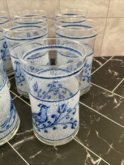 Libbey 10 oz glasses Frosted Blue bird and flower 5.25” X 2.50” Set of 11